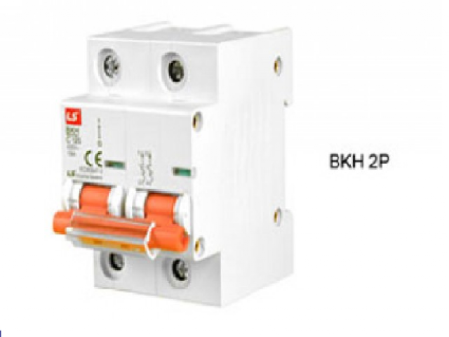 MCB LS BKH 2P 125A 10kA 230V