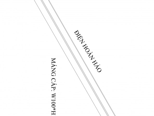 Máng cáp W100 H100